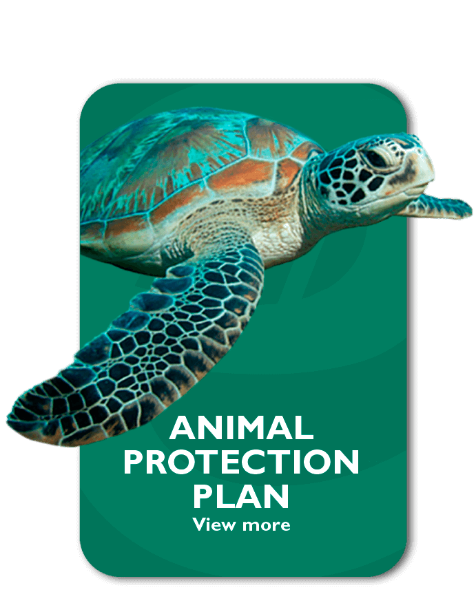 Animal Protection Plan