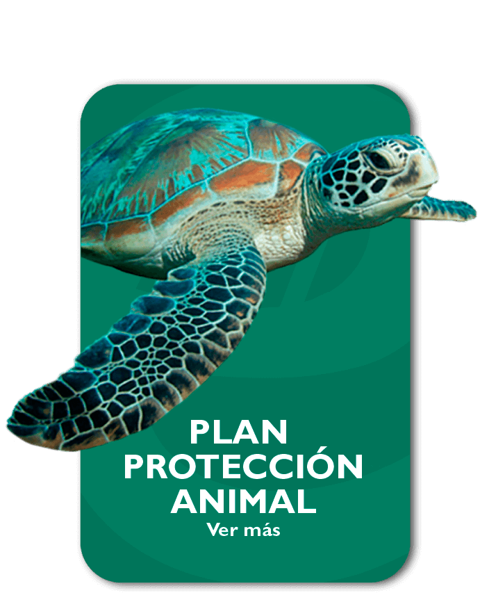 Plan Protección Animal